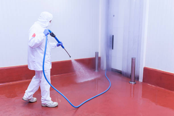 Best Building Exterior Washing  in Venus, TX