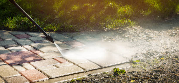 Best House Exterior Washing  in Venus, TX